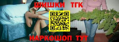 МДПВ Камышлов
