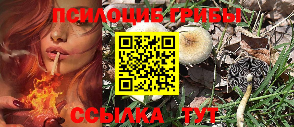Псилоцибиновые грибы прущие грибы Кумертау